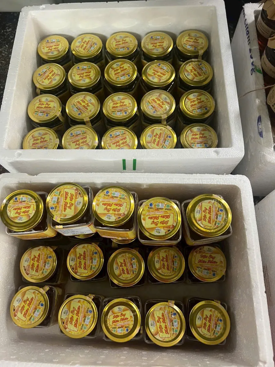 ルミナの活動