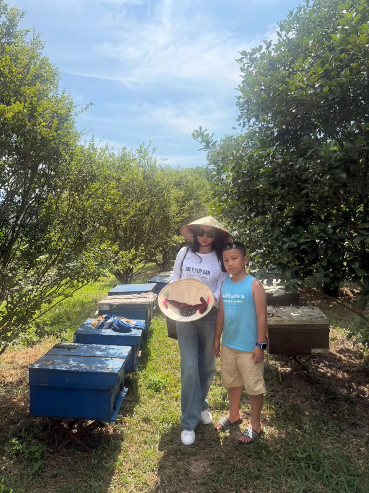 At the bee farm