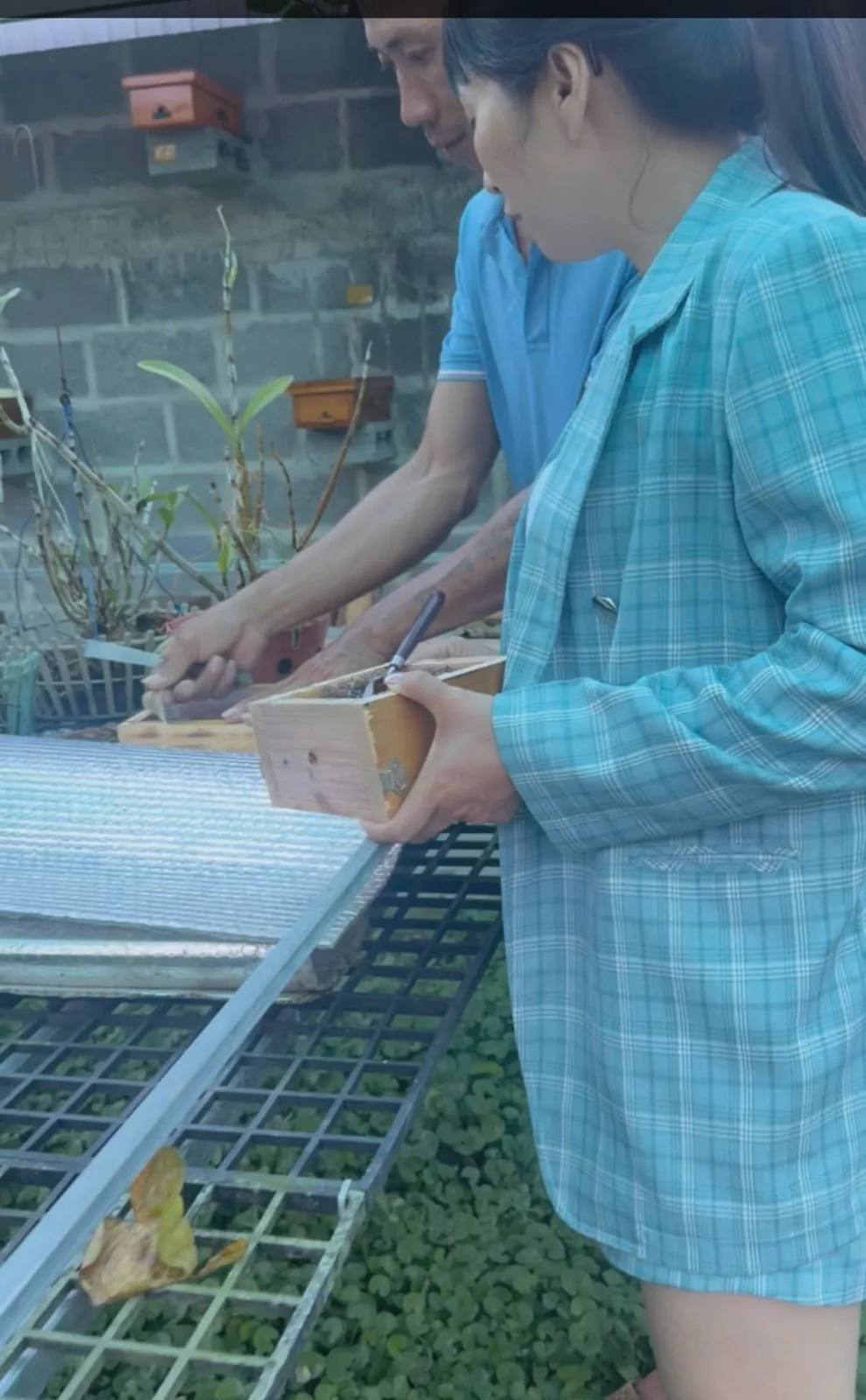 Hand harvesting